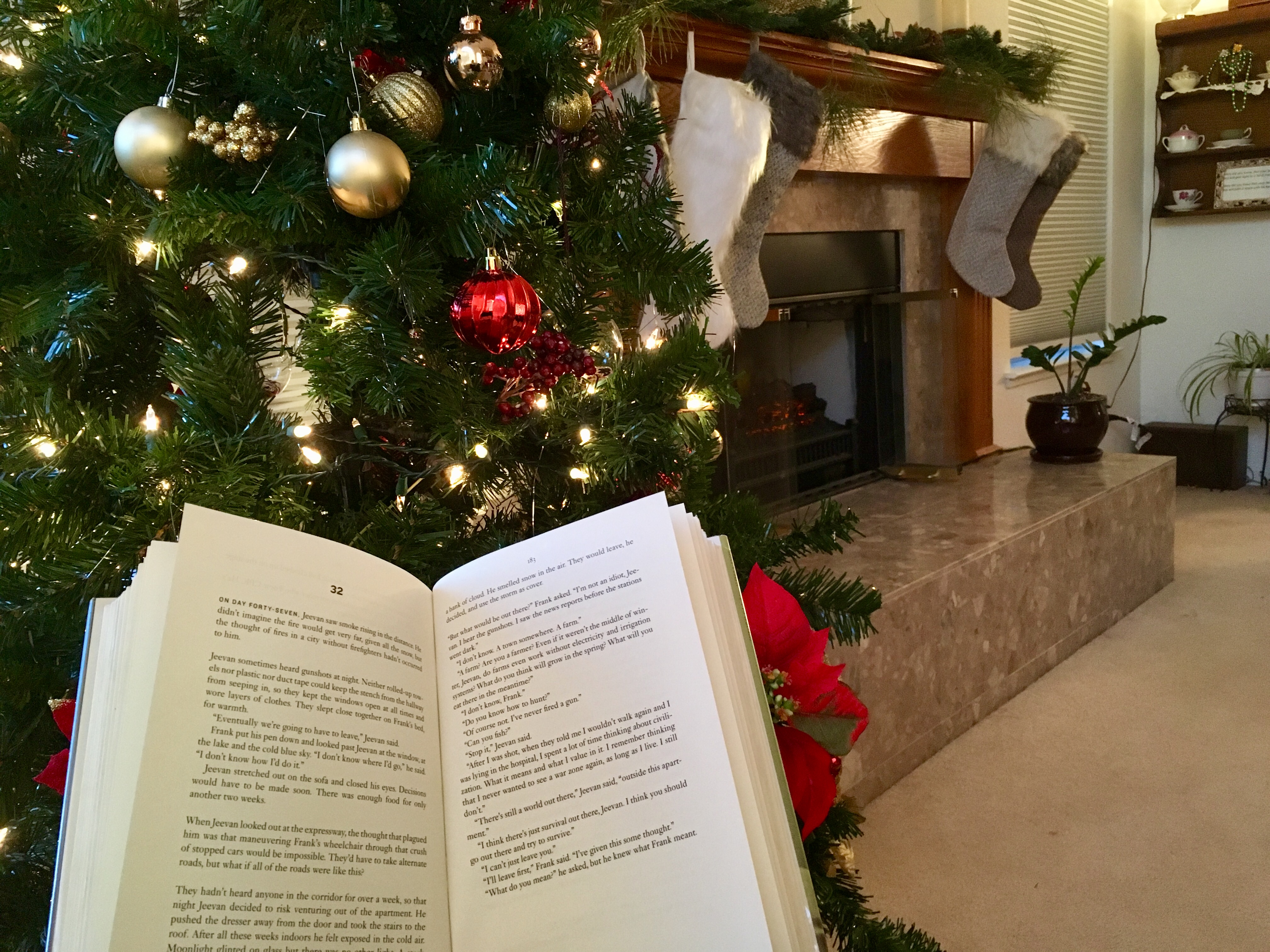 Open book in front of Christmas tree