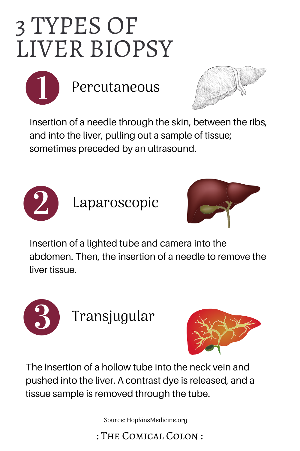 what-to-expect-at-your-ultrasound-guided-liver-biopsy-procedure