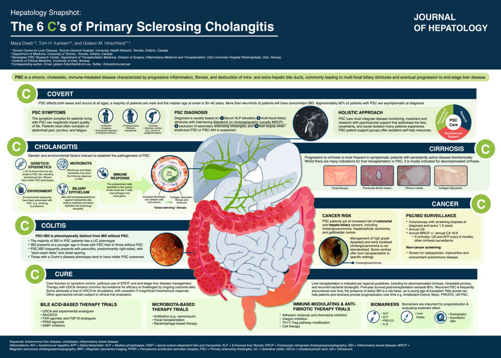 Infographic titled, "The 6 C's of Primary Sclerosing Cholangitis" with text describing the six topics of covert, cholangitis, colitis, cirrhosis, cancer, and cures.